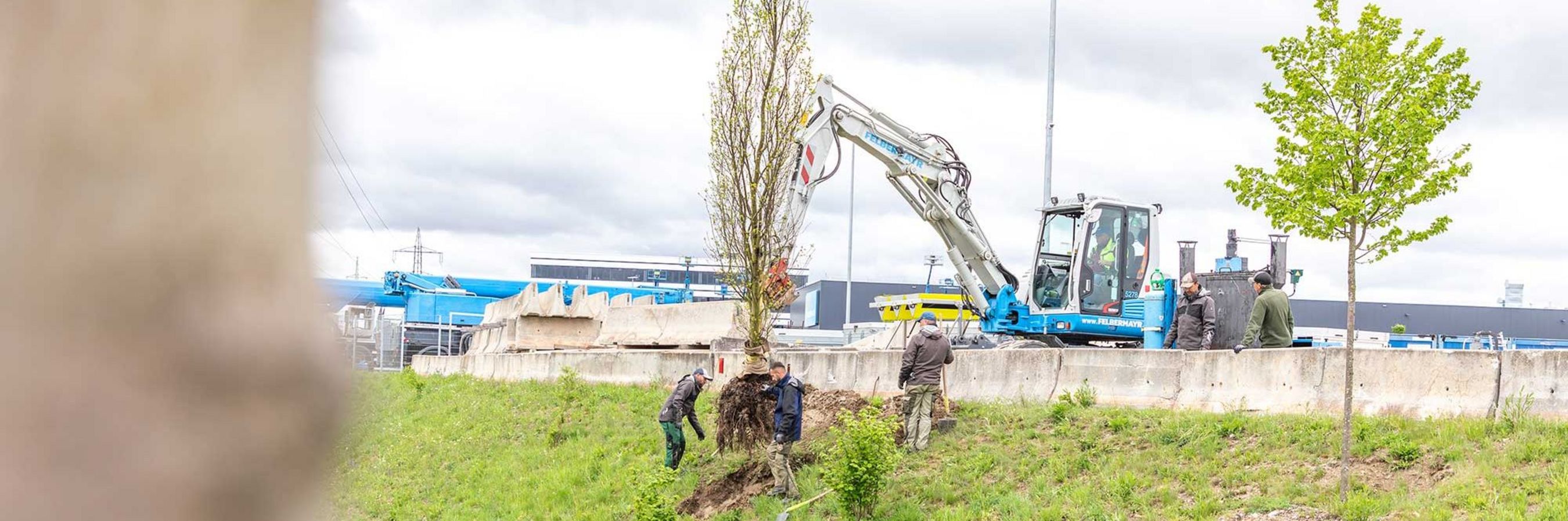 © Felbermayr/Weickinger Baumbepflanzung bei der Firmenzentrale von Felbermayr.